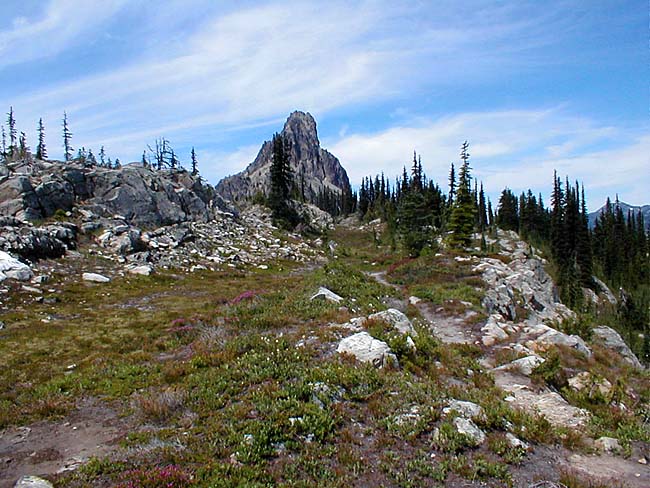 Ridge Trail