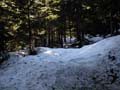 Snow On Trail