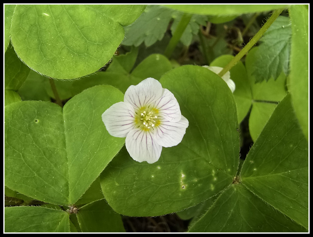 051
