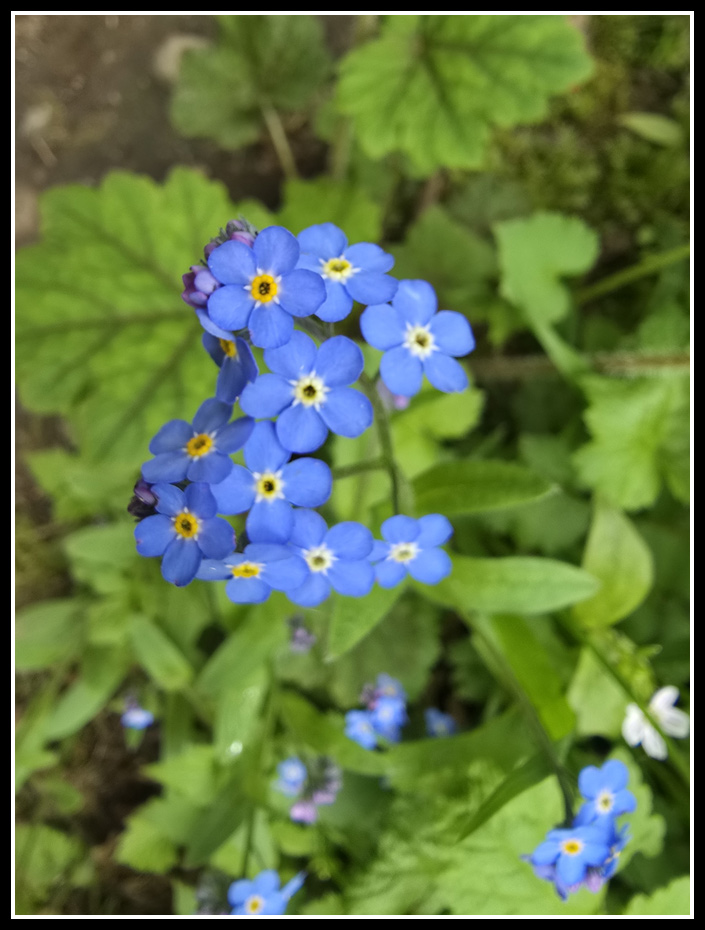 092