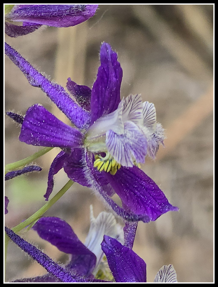 079