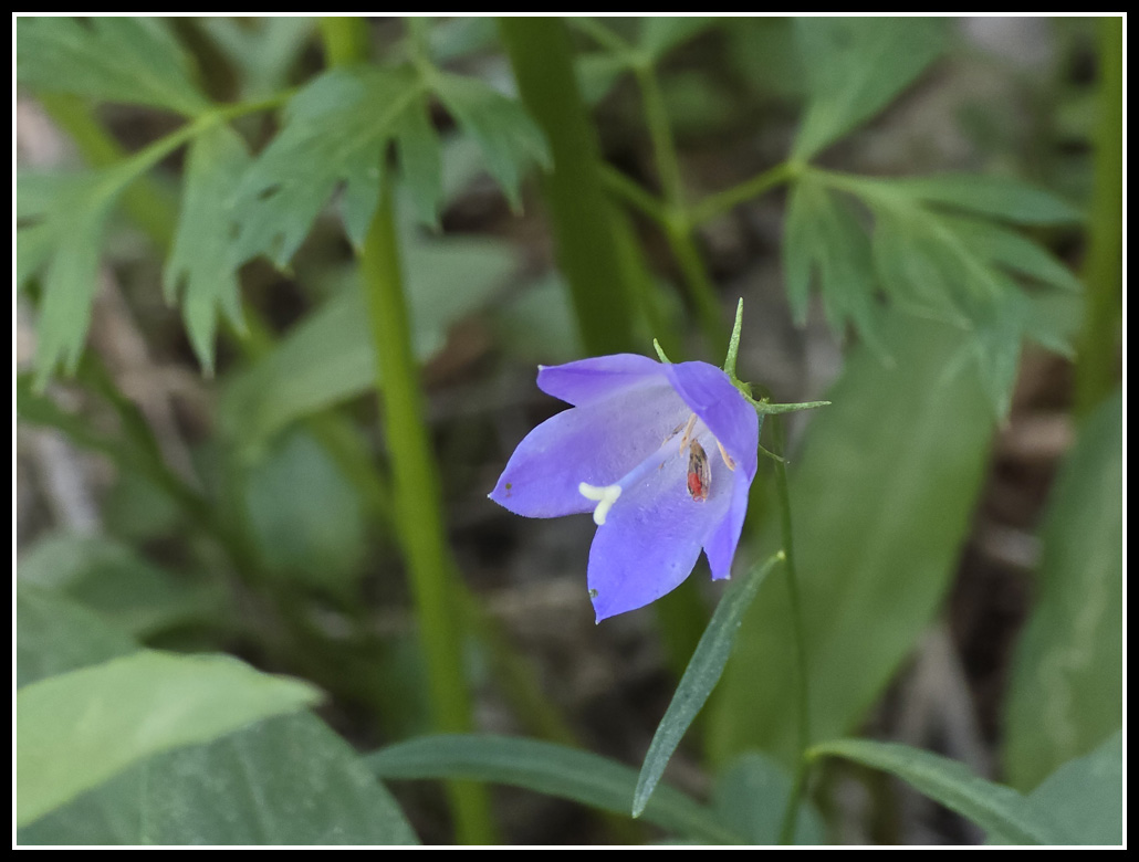 041