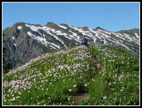 Wildflowers On Poet Ridge