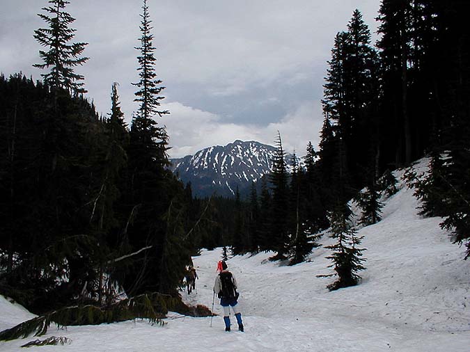 Tamanos Mountain