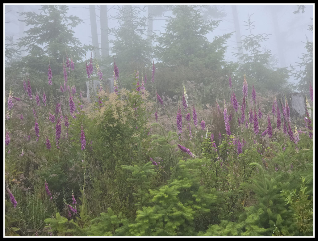 034