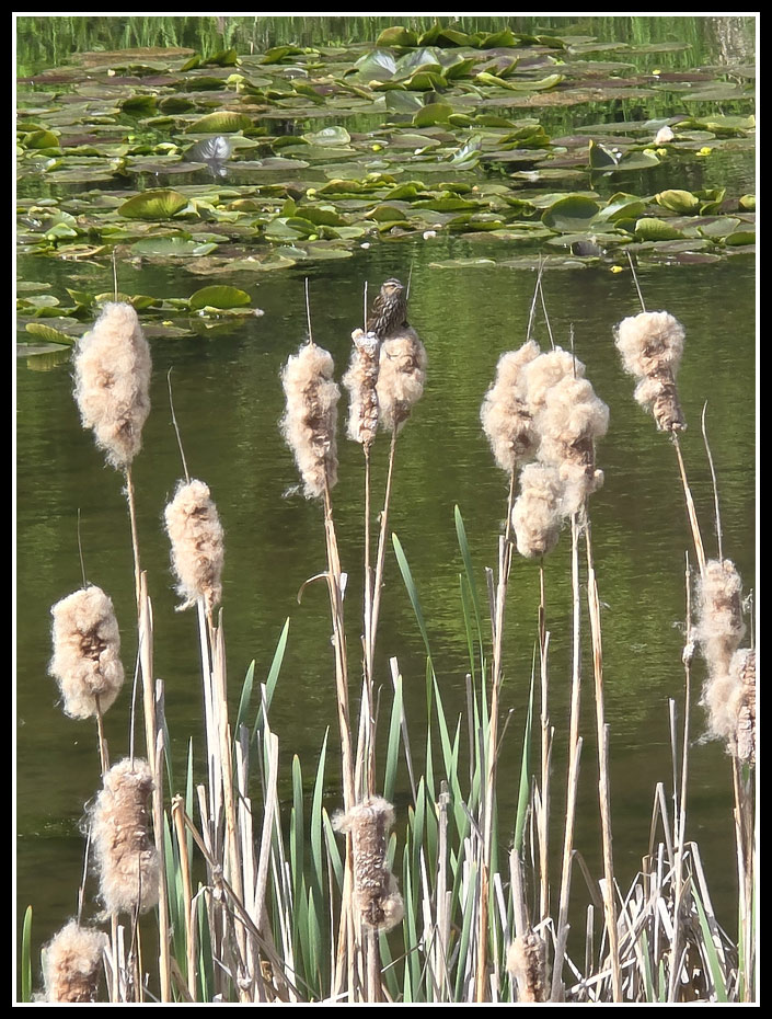 157