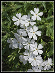 224
