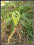 043